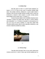 Referāts 'Pāļu gremdiekārtas', 7.