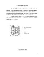 Referāts 'Pāļu gremdiekārtas', 19.