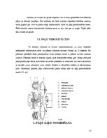 Referāts 'Pāļu gremdiekārtas', 20.