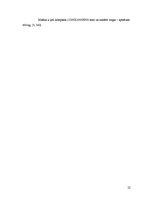 Referāts 'Pāļu gremdiekārtas', 22.