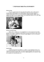 Referāts 'Seno laiku un viduslaiku medicīna', 11.