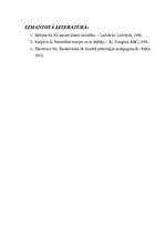 Referāts 'Problēmsituācija pedagoģijā', 5.