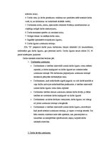 Diplomdarbs 'SIA "X" darbības tiesiskais un ekonomiskais izvērtējums', 17.