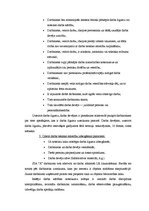 Diplomdarbs 'SIA "X" darbības tiesiskais un ekonomiskais izvērtējums', 18.