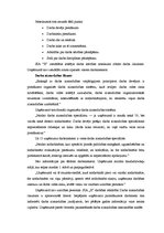 Diplomdarbs 'SIA "X" darbības tiesiskais un ekonomiskais izvērtējums', 19.