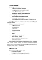 Diplomdarbs 'SIA "X" darbības tiesiskais un ekonomiskais izvērtējums', 20.