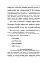 Diplomdarbs 'SIA "X" darbības tiesiskais un ekonomiskais izvērtējums', 28.