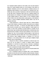 Diplomdarbs 'SIA "X" darbības tiesiskais un ekonomiskais izvērtējums', 29.