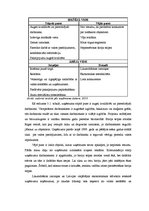 Diplomdarbs 'SIA "X" darbības tiesiskais un ekonomiskais izvērtējums', 37.