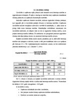 Diplomdarbs 'SIA "X" darbības tiesiskais un ekonomiskais izvērtējums', 40.