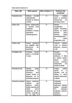 Prakses atskaite 'Prakses atskaite', 10.