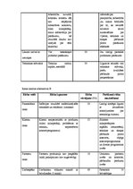 Prakses atskaite 'Prakses atskaite', 11.