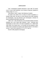 Referāts 'Hromatogrāfiska polifenolu noteikšana jēlkafijā', 5.