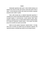 Referāts 'Starptautiskā Olimpiskā komiteja', 2.