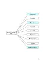 Referāts 'Vidusskolēnu leksika J.Čakstes Liepājas pilsētas 10.vidusskolā', 9.