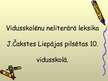 Referāts 'Vidusskolēnu leksika J.Čakstes Liepājas pilsētas 10.vidusskolā', 21.