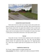 Biznesa plāns 'SIA "Tea House” Jelgavā', 3.