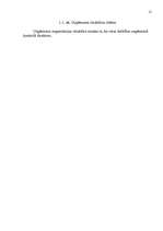 Referāts 'Uzņēmuma darbinieku motivācijas līmeņa paaugstināšana', 12.