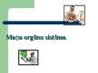 Prezentācija 'Maņu orgānu sistēma', 1.