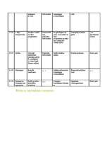 Konspekts 'Dejas pasaule', 4.