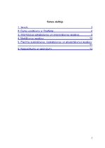 Referāts 'Microsoft OneNote iespējas', 2.