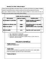 Konspekts 'Bērnu nometnes projekts', 3.