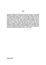 Referāts 'Rainis un viņa krāsas dzejoļos', 2.