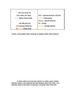 Referāts 'Rainis un viņa krāsas dzejoļos', 10.