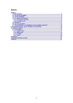 Referāts 'Liepājas pilsētas izglītības attīstības stratēģijas 2008.-2013.gadam analīze', 2.