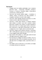 Referāts 'Liepājas pilsētas izglītības attīstības stratēģijas 2008.-2013.gadam analīze', 20.