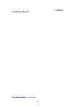 Referāts 'Liepājas pilsētas izglītības attīstības stratēģijas 2008.-2013.gadam analīze', 23.