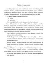 Referāts 'Politika kā profesija un aicinājums', 4.