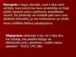 Prezentācija 'Konkurences veidi - situācijas un to raksturojums', 7.