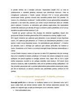 Konspekts 'Starptautiskie grāmatvedības standarti (SGS)', 5.