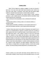 Referāts 'Mediji un politika', 26.