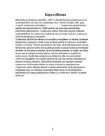 Referāts 'Biznesa plāns', 3.