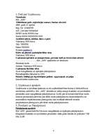 Referāts 'Biznesa plāns', 4.