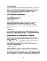 Referāts 'Biznesa plāns', 6.