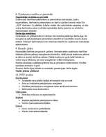 Referāts 'Biznesa plāns', 8.