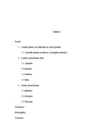 Referāts 'Literārā pasaka, literāri publicistiskie žanri un mazās prozas formas', 2.