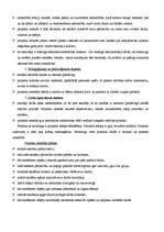 Referāts 'Muzikālo projektu nozīme bērnunamu bērnu socializācijas veicināšanā', 17.