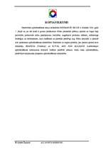 Biznesa plāns 'AAS "Insurance group"', 3.