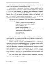 Biznesa plāns 'AAS "Insurance group"', 5.