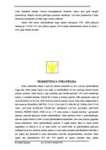 Biznesa plāns 'AAS "Insurance group"', 12.