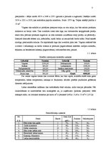 Biznesa plāns 'Biznesa plāns vasaras sezonas kafejnīcai "Pieturvieta Nr. 1"', 8.