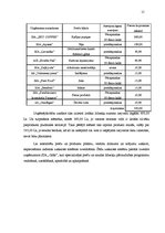 Biznesa plāns 'Biznesa plāns vasaras sezonas kafejnīcai "Pieturvieta Nr. 1"', 15.