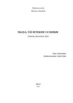 Referāts 'Skaņa, tās ietekme uz dzirdi', 1.