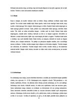 Referāts 'Skaņa, tās ietekme uz dzirdi', 10.