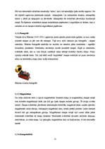 Referāts 'Skaņa, tās ietekme uz dzirdi', 13.