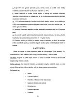 Referāts 'Skaņa, tās ietekme uz dzirdi', 23.